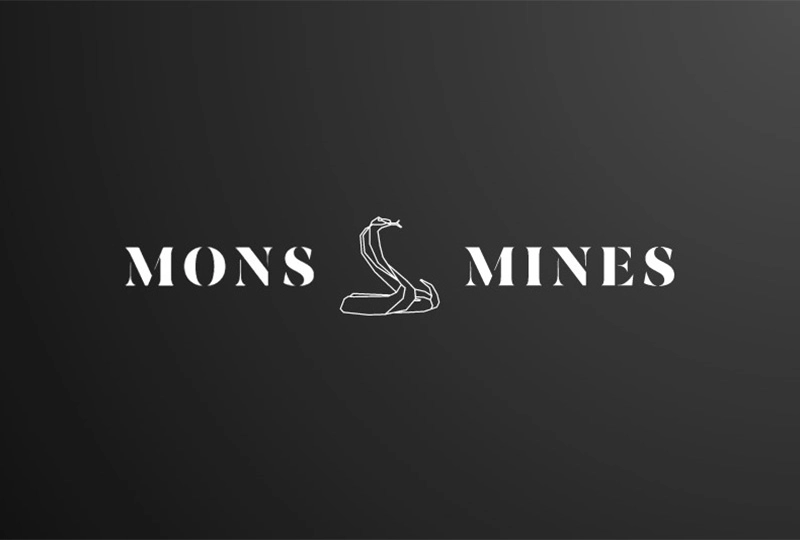 Mons-Mines